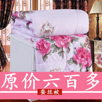 Silk quilt 100% mulberry silk quilt core thickened winter quilt spring and autumn quilt summer cool quilt single double warm constant temperature quilt