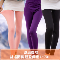 Extra large fat plus size fat autumn and winter womens milk Silk plus velvet ankle-length pants leggings King leggings