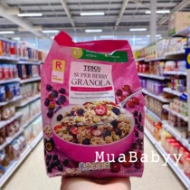Spot UK TESCO assorted cranberry blueberry Strawberry Oatmeal crisps breakfast cereal 500g