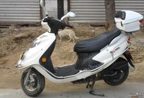 SUZUKL Qingqi Suzuki 125T-A-e Huacai air filter Air filter assembly original second-hand parts