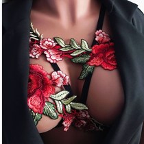 Europe AliExpress ebay Amazon Explosive Sexy Embroidered Trim with Bra Strap