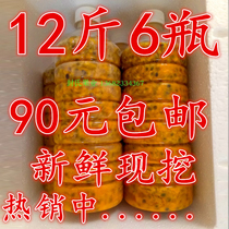 Guangxi Fresh Thyme Berries Raw Berries Jam Thyme Meat Bottled Fresh Fruit Jam Frozen Thyme Fruit Juice 12 Kilos