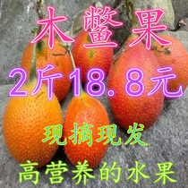 Guangxi Farmhouse Natural Mature Wood Turtle Fruit Paradise Fruit Farmhouse Special Produce Fresh Fruit 2 Catties
