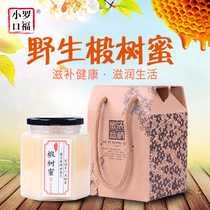 Wild Linden honey gift box gift welfare Northeast specialty deep mountain snow honey pregnant women and children no added honey