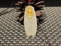 White jade medullary pendant with amazing knowledge of pendant pure handmade shoushan stone sculpted cicadas ice and gift canon