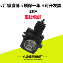 Hydraulic system Variable vane pump VP-20 15 30 40 Flat key spline ELITE JUNTAI High and low pressure
