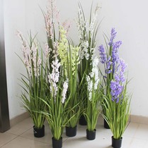 Simulation wind chimes orchid grass peacock orchid flower pot set simulation Reed flower aquatic plant set storefront decoration props