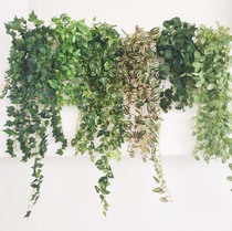 High-quality silk cloth simulation wall hanging green plant wall decoration hanging orchid Ivy melon leaves hanging leaves