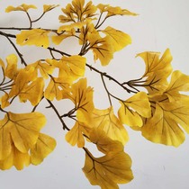 Simulation Ginkgo biloba leaves single leaves high quality silk cloth retro color high-end simulation leaves