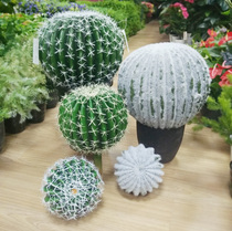 Simulation Ball Desert Plant Decoration Photography Props Storefront Cloth View Display Accessories Emulation ball