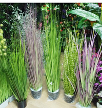 Simulation Pure Grass Fine Grass Wide Grass Plant Basin Loading Suit Simulation Green Grass Plant Bonsai Decoration