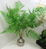 Simulated fern leaves of Persian Fern serrated Fern Pennisetum Fern decorative landscape simulation green plant leaves