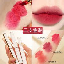 Lipstick lipstick set lip mud matte matte does not fade spring mud rotten tomato color student affordable lipstick female