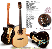 Dadarwood Dadavo Guitar Time Series TC-SG Handmade Veneer Tyler 12 Constellation Ji