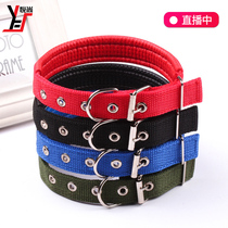 Soft leather lined polypropylene pet foam collar 5 kinds of specifications Pet collar large medium and small dogs and cats for general use