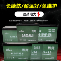 Haibao Rare Earth Alloy Battery 48v60V72V20ah12a32a45a58AH Five Electric Tricycle Battery