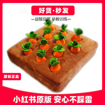 Plue-tub-toy toy baby pillow pet plush baby teaching cats dog carrot cushion