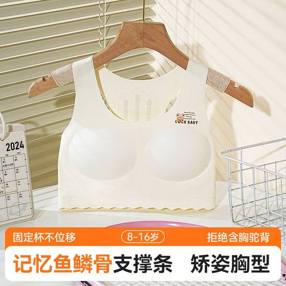 Girls, junior high school students, underwear development period, year-16 small vest exercise, 12 students, underwear, girls, bras, girls
Girls, junior high school students, underwear development period, year-16 small vest exercise, 12 students, underwear, girls, bras, girls