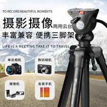 Weifeng WF3308 camera tripod SLR camera micro-single tripod portable Canon Nikon Sony hydraulic head photography video video projector Photo Fishing light bracket