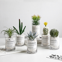 Nordic simulation green plants small bonsai decoration fleshy cactus desktop creative fake potted ornaments