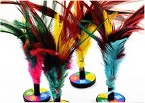 Taicang Xinjian brand Tai shuttlecock competition chicken feather small shuttlecock childrens students entertainment fitness school sports TJ-206