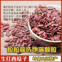 Guangxi original watermelon seeds original red melon seeds 500g granules full of raw watermelon seeds full 3kg