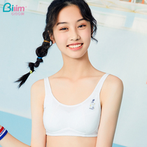 Bai Ling Bai Li High school students girl underwear development period Junior high school students Adolescent Japanese rimless bra thin section