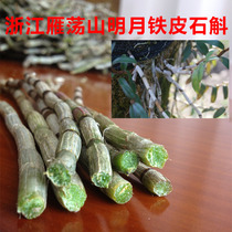 Authentic fresh Dendrobium candidum fresh 5-year-old white strips bright moon Dendrobium Maple nourishing nutrition effect is good