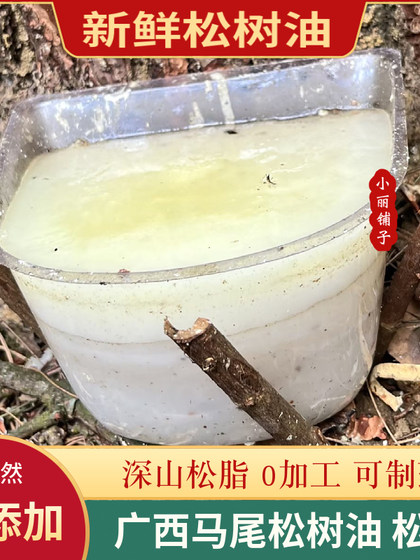 광시 딥 마운틴 마차 소나무 오일 500G 새로 수집 된 천연 소나무 오일 0 add rosin pine nut 기름 원료 추가 광시 딥 마운틴 마차 소나무 오일 500G 새로 수집 된 천연 소나무 오일 0 add rosin pine nut 기름 원료 추가
