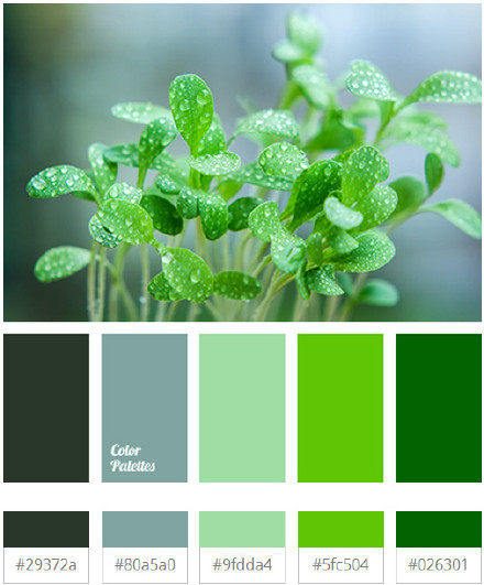 代表着希望的草木绿. 再来看看这些色度卡.也是非常的美美哒!