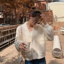 European Station Stitch Weaselwear Mink Suede Jacket Woman Short 2022 Autumn winter new loose Lazy Wind Thickened Sweater