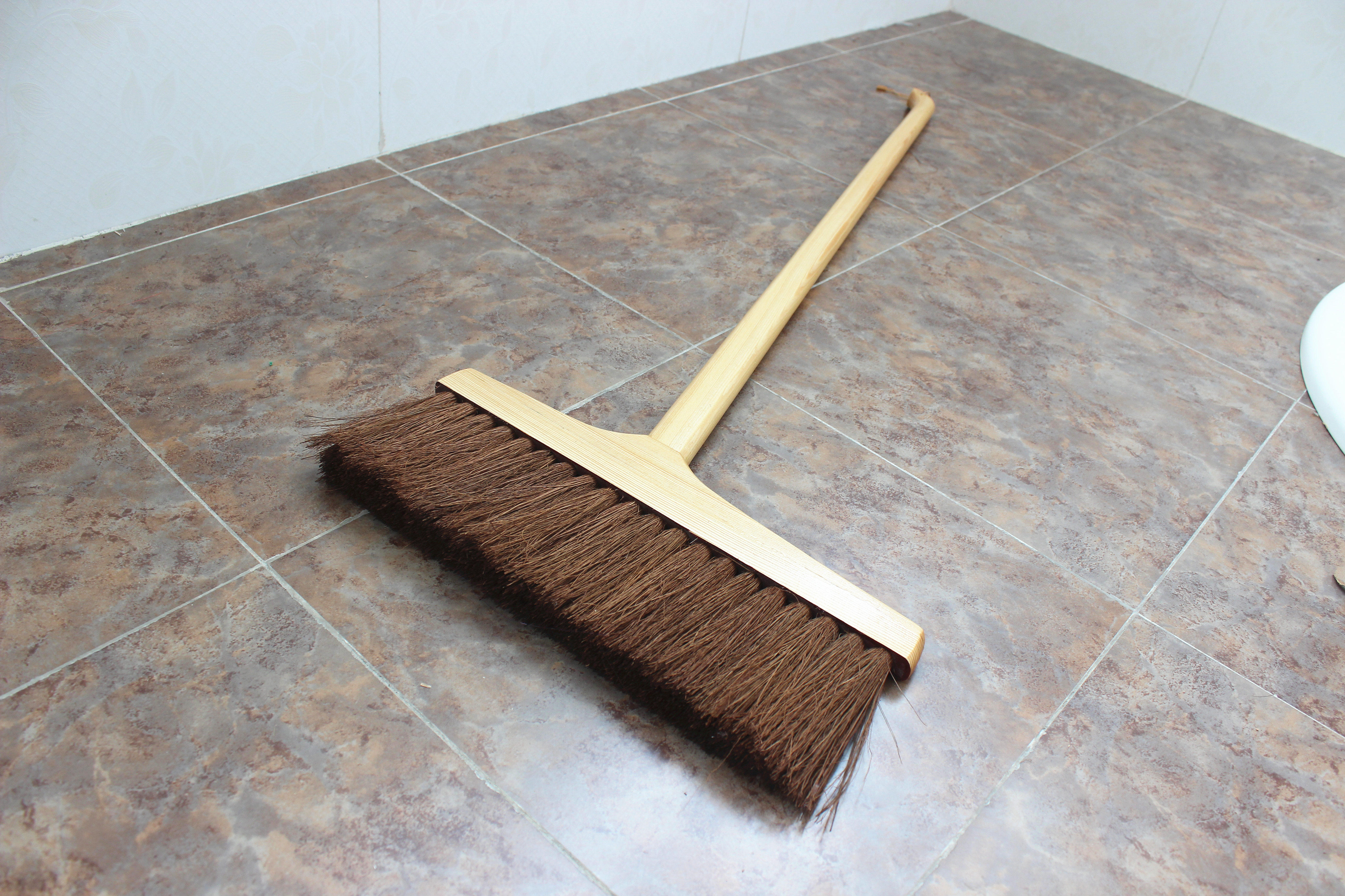 棕榈丝扫帚室内木地板瓷砖扫把单个植物无静电木柄笤帚扫鬃毛少把
