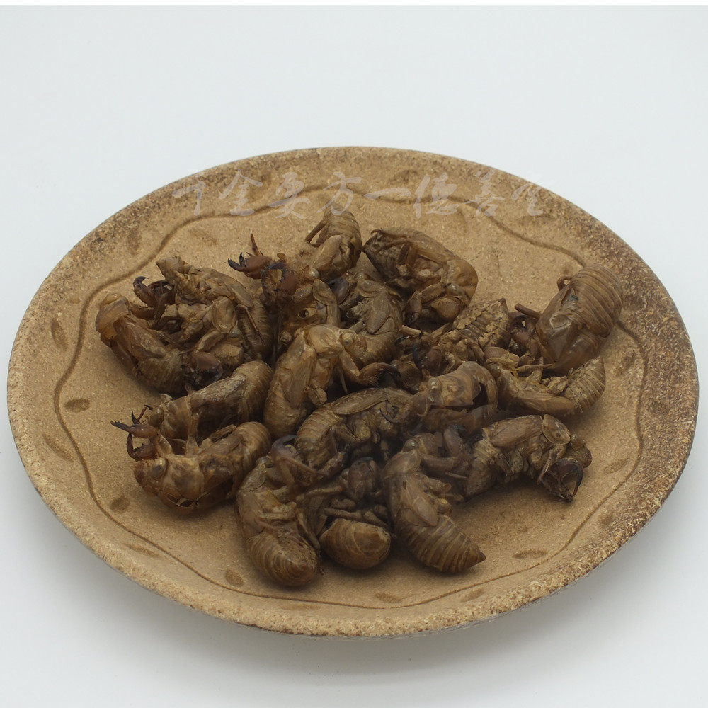 蝉衣 蝉蜕 知了皮 水洗干净 中药材 250克 包邮