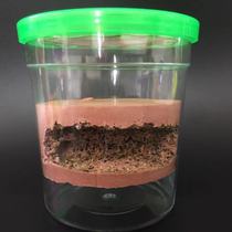 Crazy ants Concrete flushing sand cup nest Bottom water storage and moisturizing Water evaporation and moisturizing Prevent water pollution