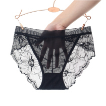 Large size lace womens briefs perspective sexy full transparent mesh hot temptation underwear womens passion