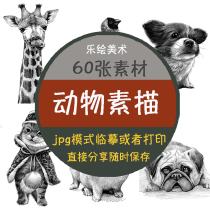 Childrens creative animal sketch material Electronic Version 60 copy painting art materials can be printed without watermark