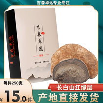 Changbai Mountain wild red edge layer pore bacteria natural traditional tonic Nyingchi 2 pieces