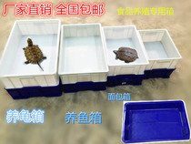 Thickened turnover box Bread box storage box Plastic turtle breeding fish breeding box Turtle tank turtle seedling box
