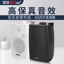 Tianlai Jinli Zhiyin 4 5 6 inch indoor wall-mounted speaker Restaurant shop conference set public broadcasting speaker