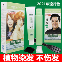 Changyi ecological hair dye plant pure black brown wine red one wash black hair dye linseed color natural