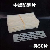 The Chinese Bee anti-running King film escaping film nest door anti-running film 50 pieces