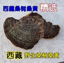 A selection of 250 gr selected wild mulberry trees in Tibet