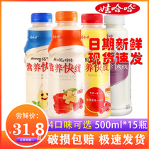 Wahaha Nutrition Express original flavor 500ml*15 bottles of milk beverage Pineapple vanilla 4 flavors can be LCL