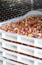 Ling food no added fig dry tree cooked and sweet without floral fruit fresh