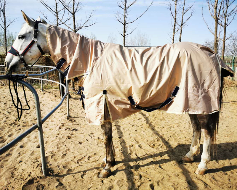 Century long spring horse coat autumn ma does not contain cotton horse protective mosquito escort equipment to keep breathable