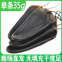 New Zealand Red Deer deer tail 35 grams dry deer tail male nourishing Jilin sika deer field direct supply