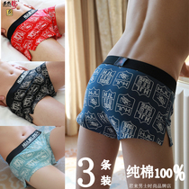 Huajielong Arrow pants mens printed cotton boxer mid-waist cotton boxer loose plus size summer underwear