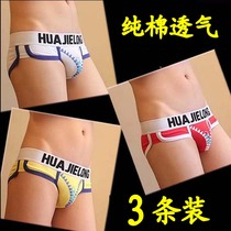 Huajielong cotton mens underwear low-waisted U-convex sexy fashion briefs three-piece trendy mens cotton personality
