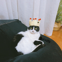 Chirping Meoworiginal hand-made pet Little prince crown headdress super cute puppy cat decoration photo