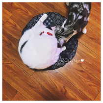 Chirping meoworiginal hand-made cat and dog futon upholstered sofa fabric Spring summer autumn and winter